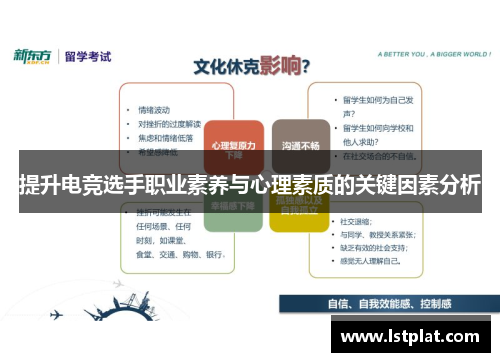 提升电竞选手职业素养与心理素质的关键因素分析