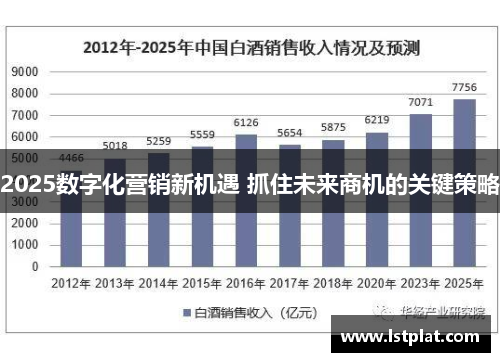 2025数字化营销新机遇 抓住未来商机的关键策略