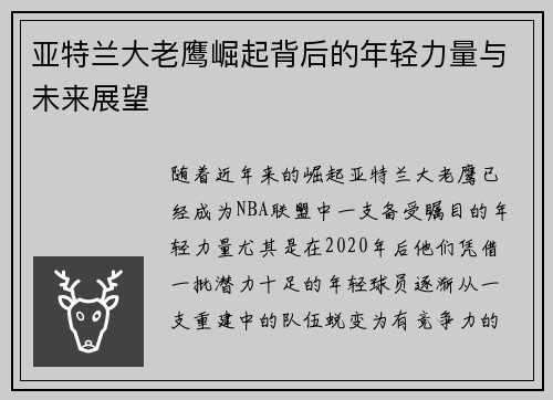 亚特兰大老鹰崛起背后的年轻力量与未来展望