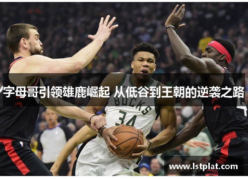 字母哥引领雄鹿崛起 从低谷到王朝的逆袭之路